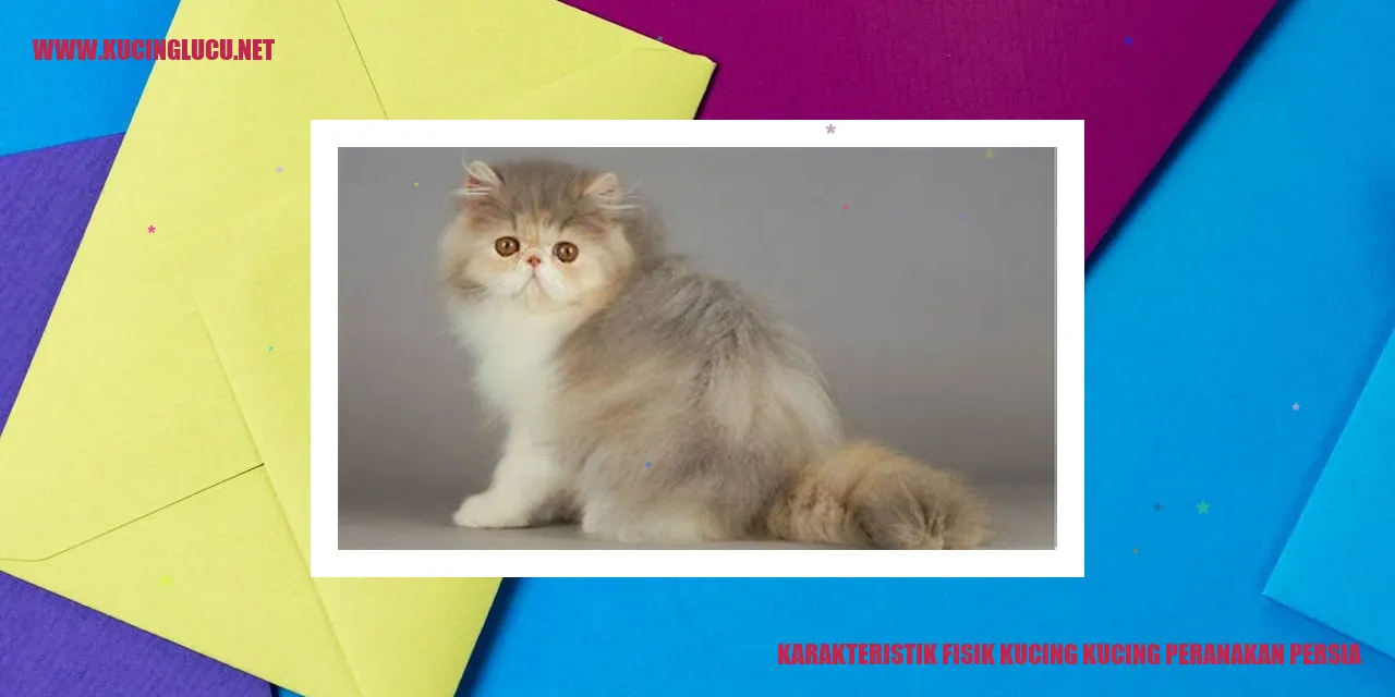 Kucing Peranakan Persia