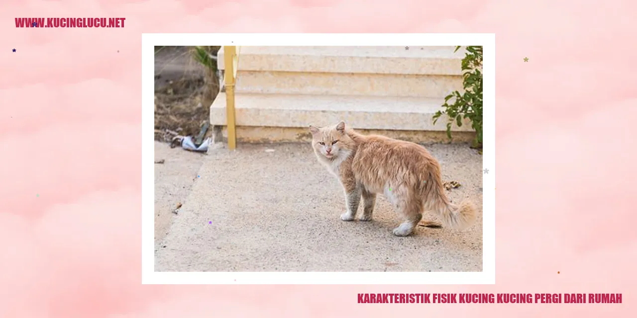 Gambar kucing yang melarikan diri