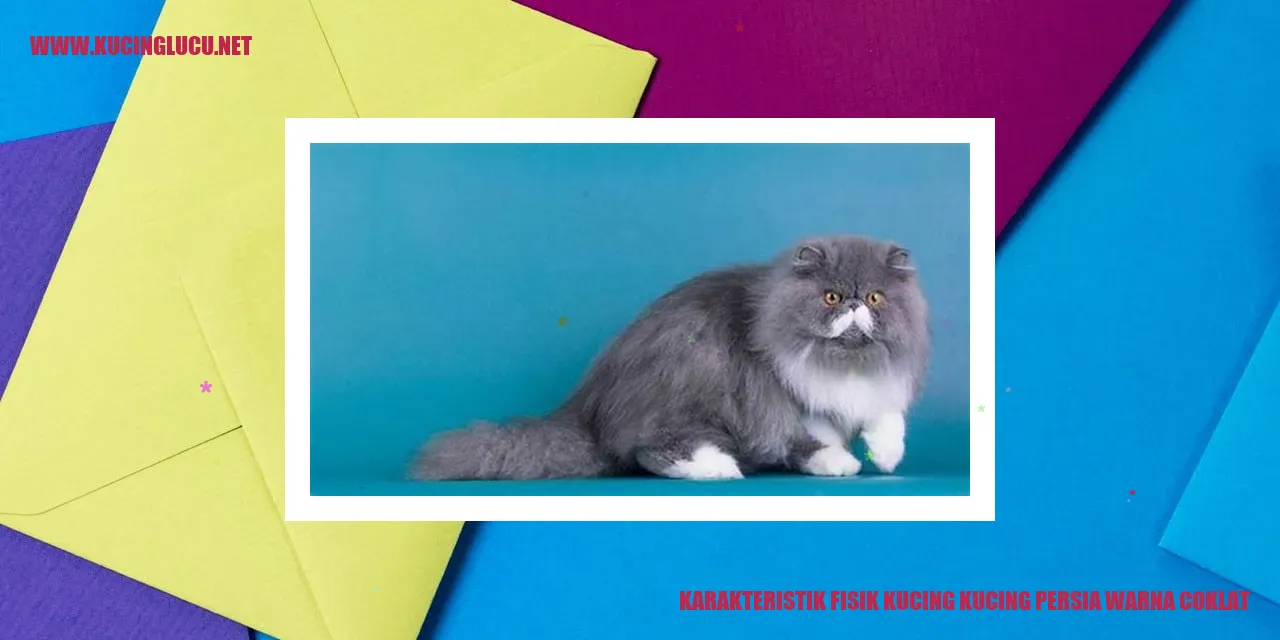 Gambar Kucing Persia Berwarna Coklat
