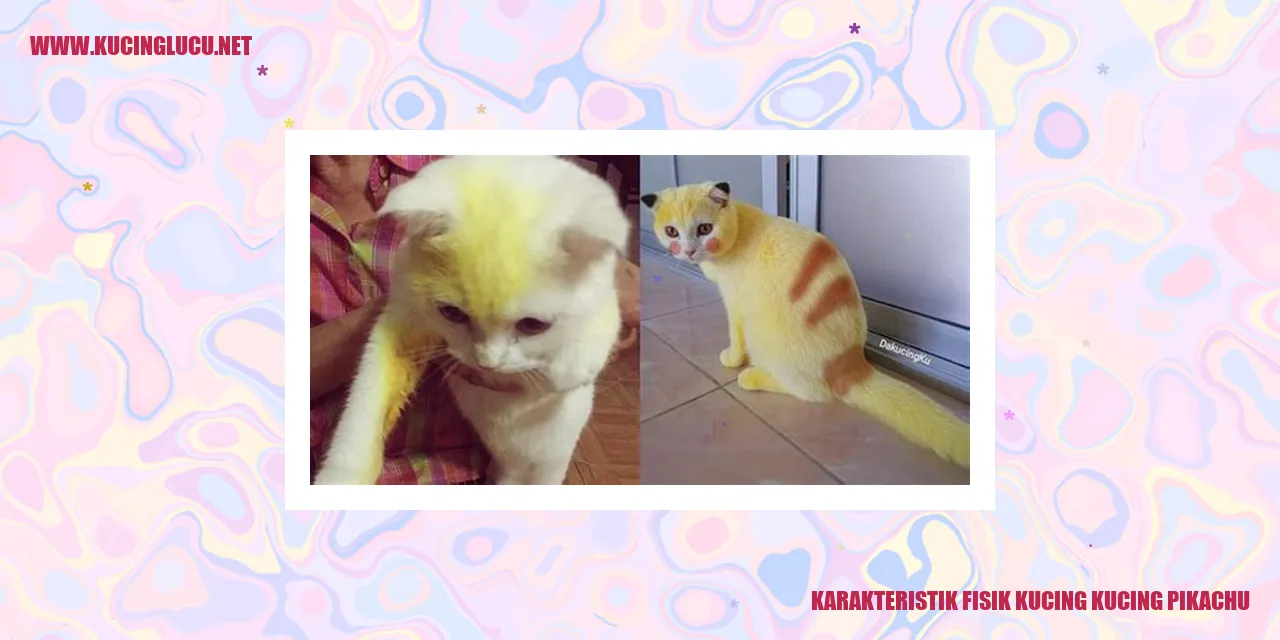 Gambar kucing Pikachu