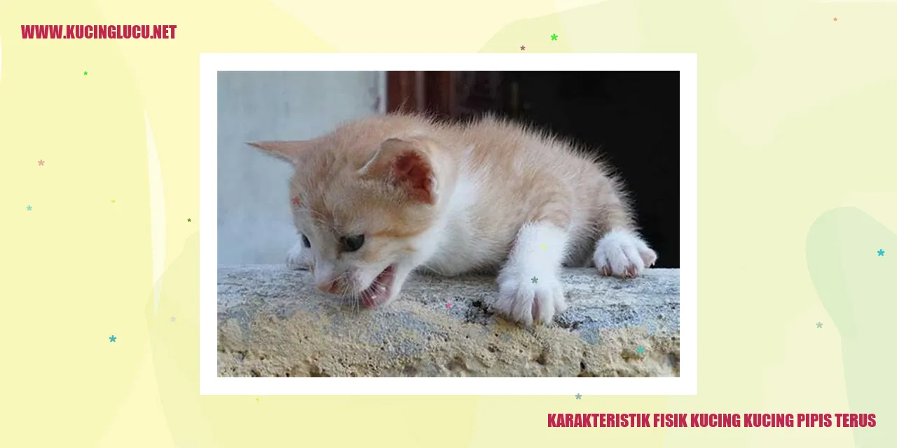 Karakteristik Fisik Kucing