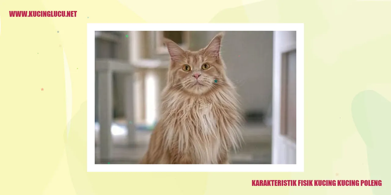 Gambar Kucing Poleng