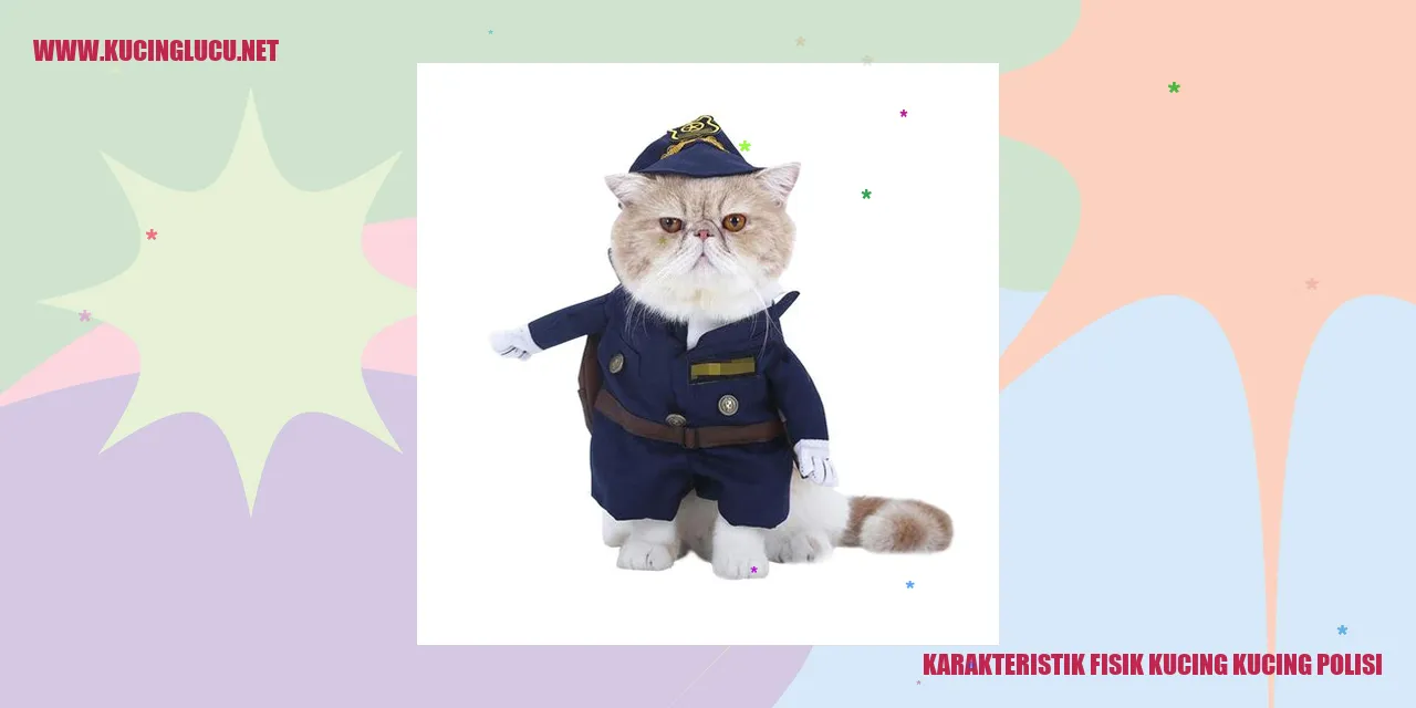 Gambar Kucing Polisi