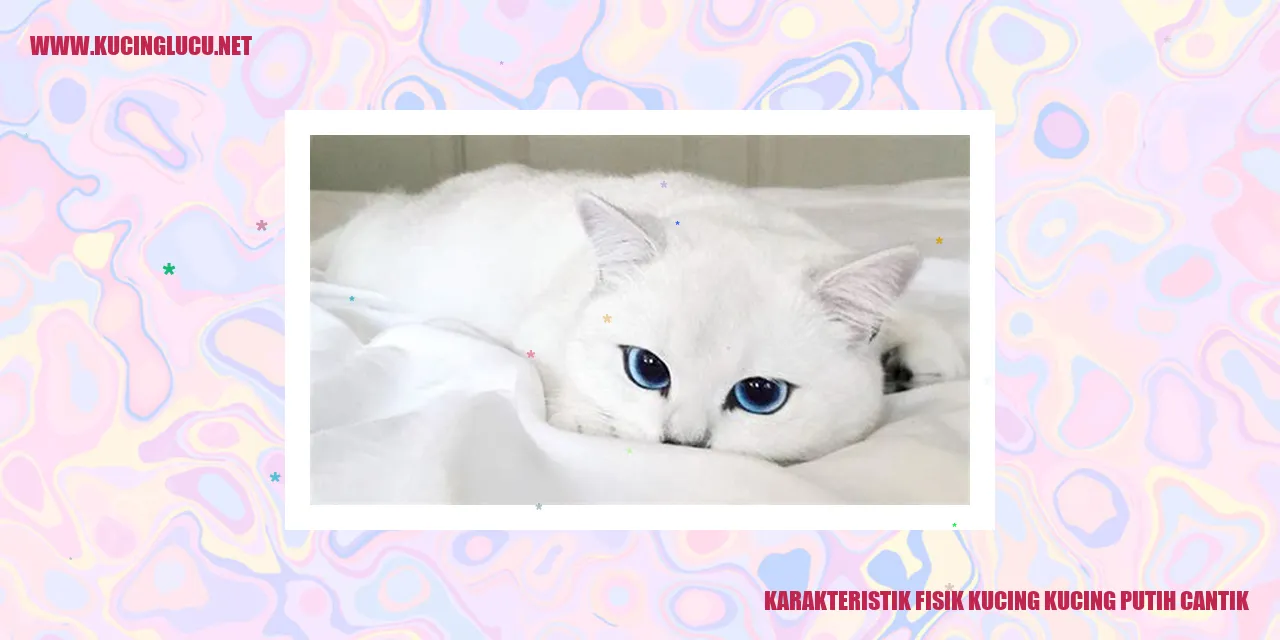 Karakteristik Fisik Kucing kucing putih cantik