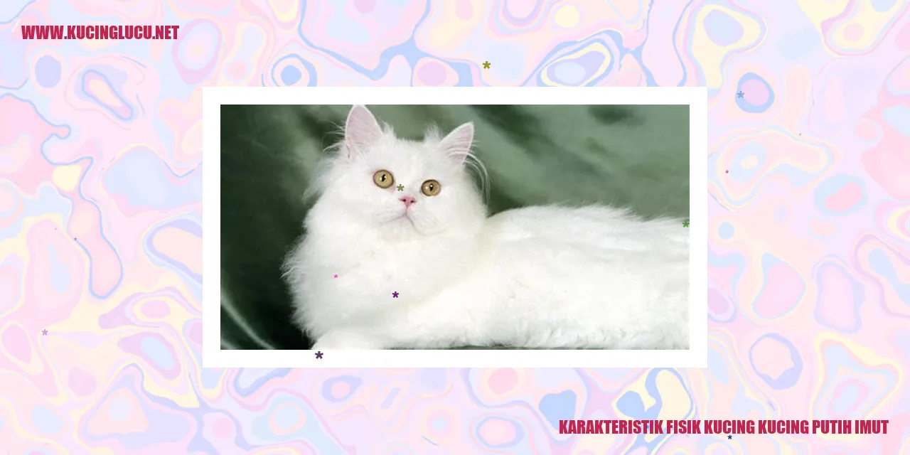 Kucing putih menggemaskan