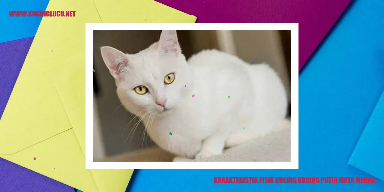 Gambar Kucing Putih Mata Merah