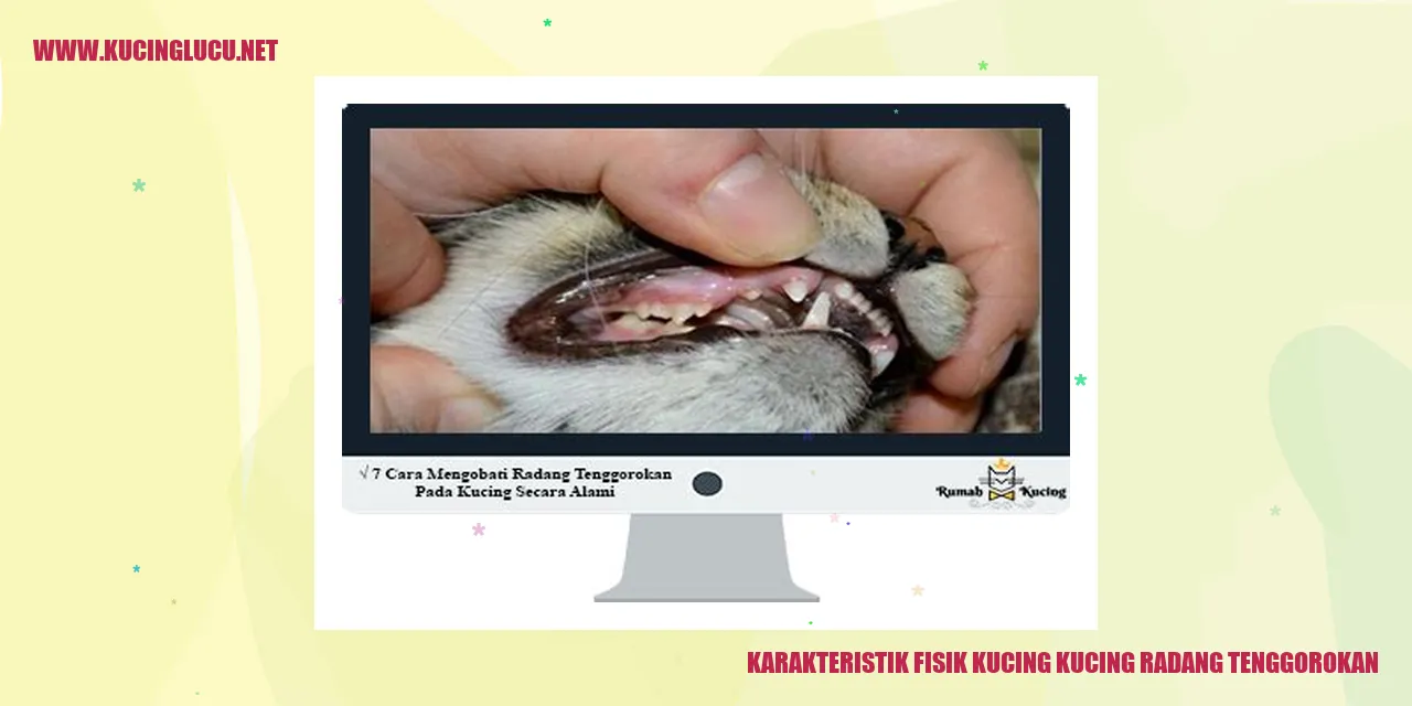 Karakteristik Fisik Kucing dengan Radang Tenggorokan