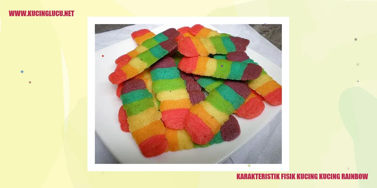 Karakteristik Fisik Kucing Kucing Rainbow