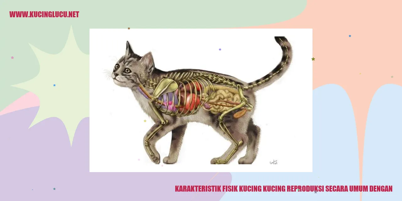Karakteristik Fisik Kucing