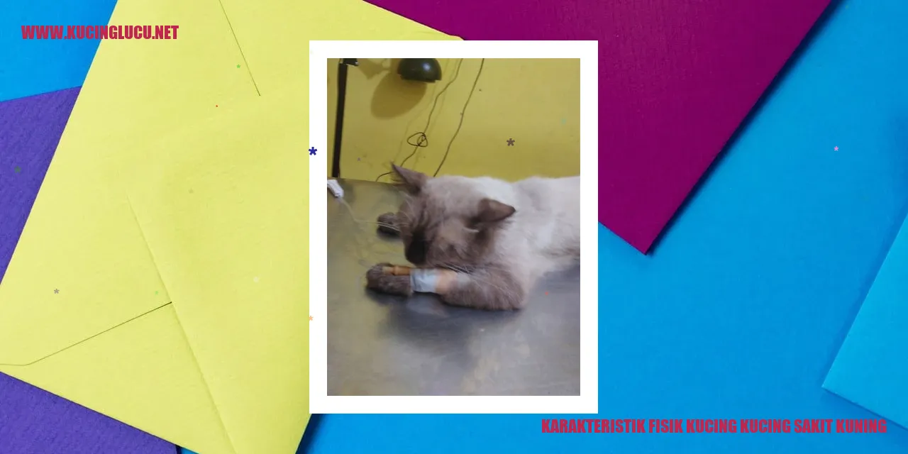 Gambar kucing dengan gejala penyakit hepatitis