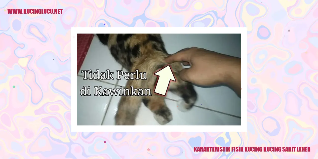 Karakteristik Fisik Kucing kucing sakit leher