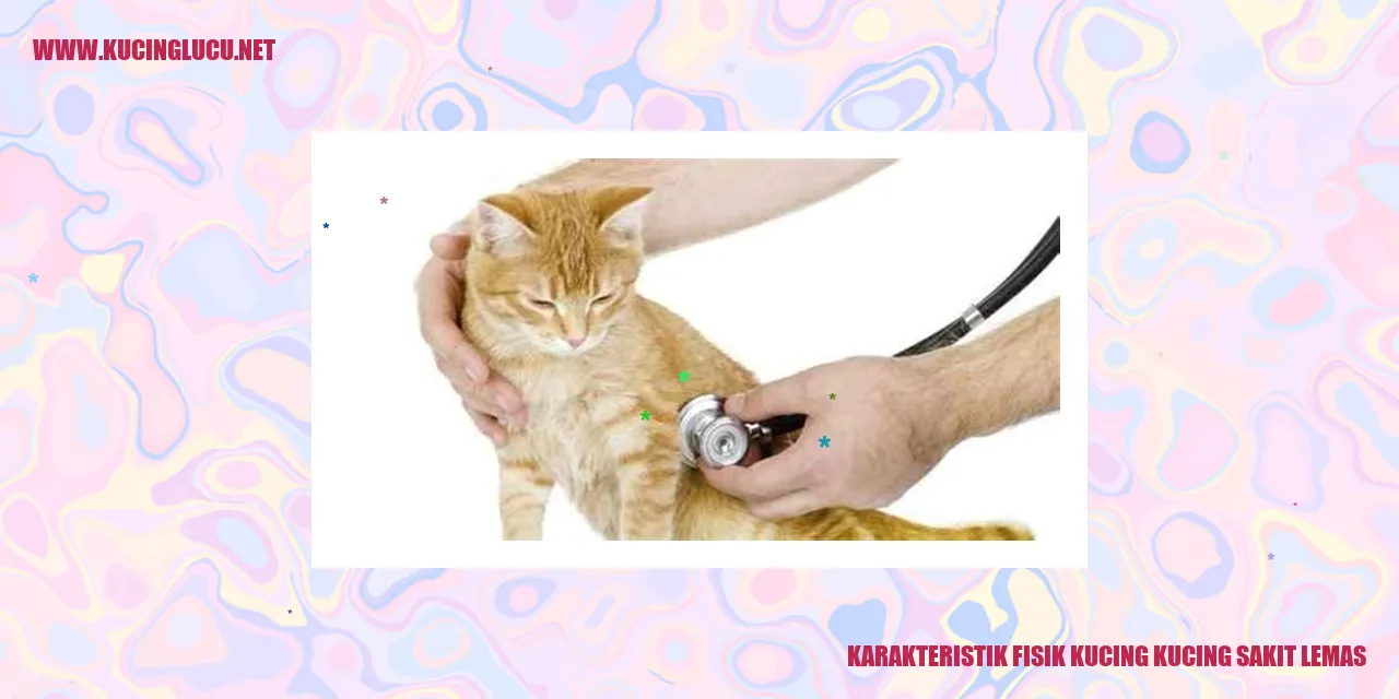 Ilustrasi Kucing dalam Keadaan Lemah
