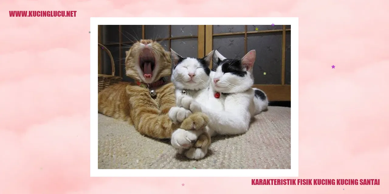 Karakteristik Fisik Kucing kucing santai