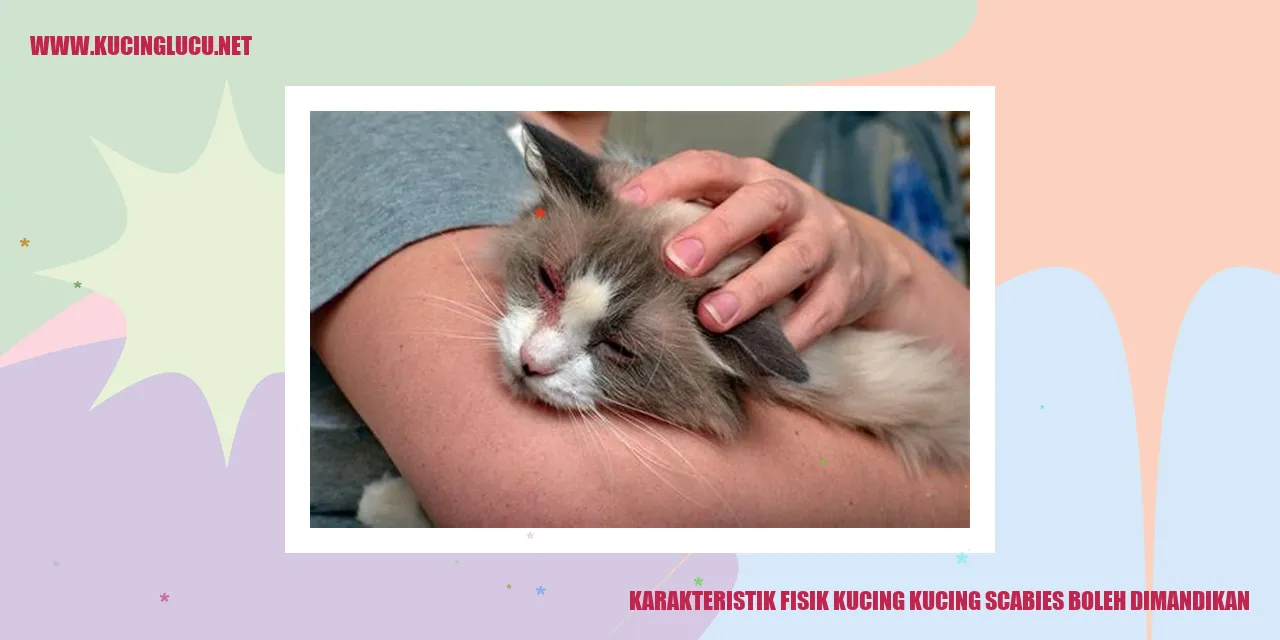 Karakteristik Fisik Kucing Scabies