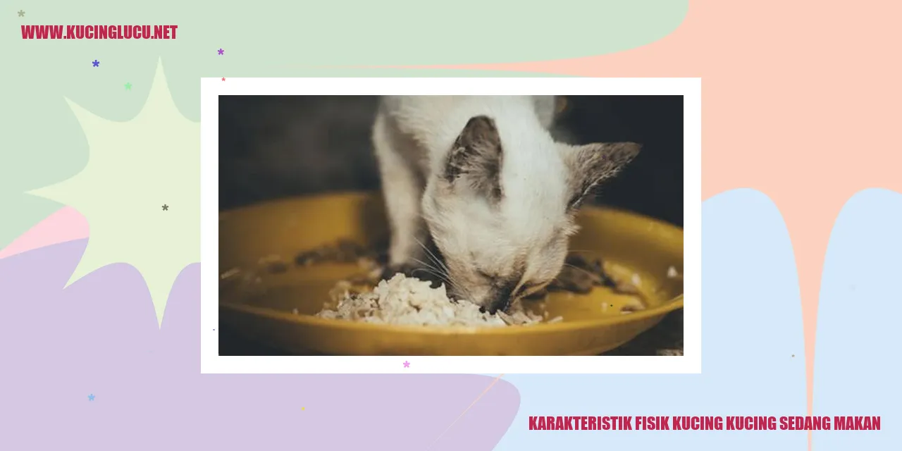 Karakteristik Fisik Kucing saat Sedang Makan