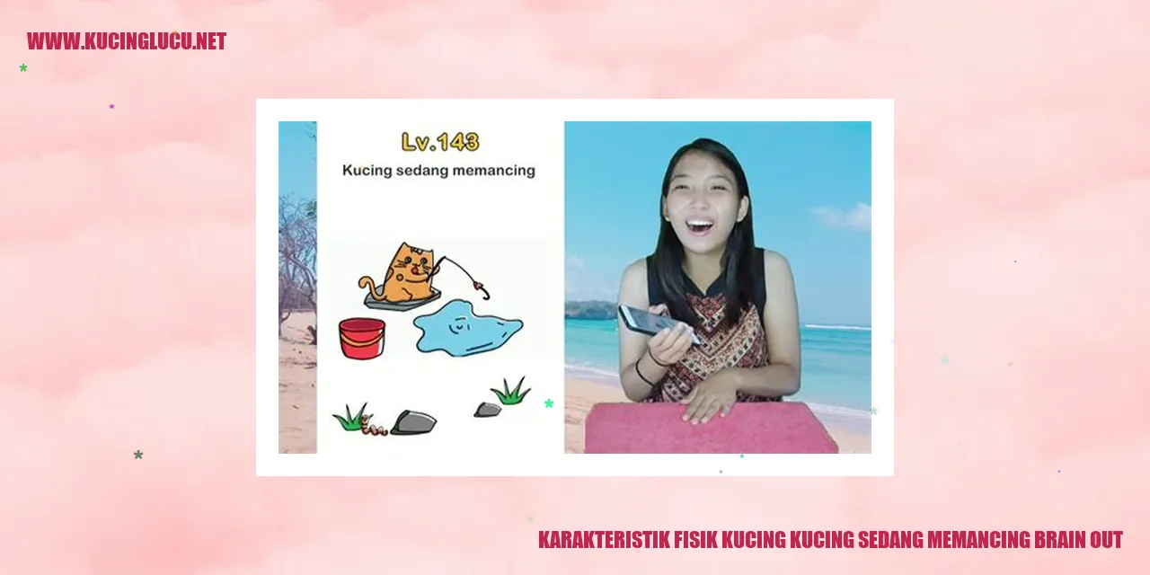Gambar kucing sedang memancing