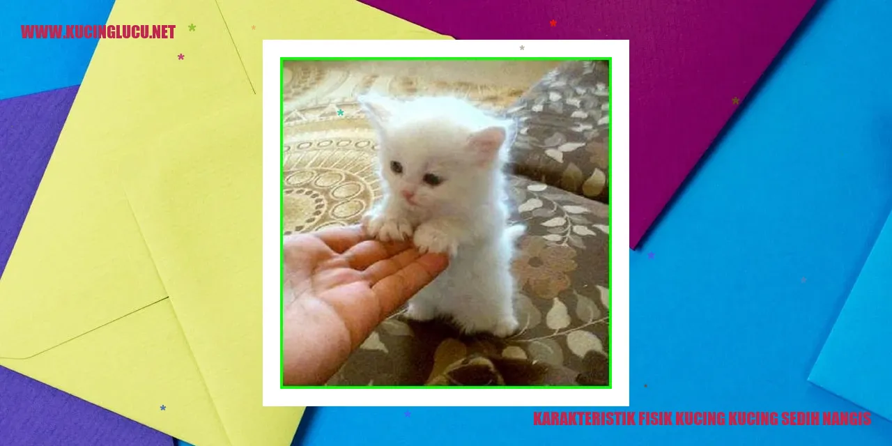 gambar kucing menggemaskan