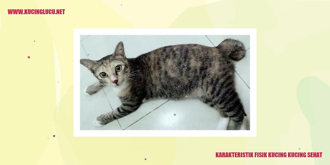 Karakteristik Fisik Kucing Sehat