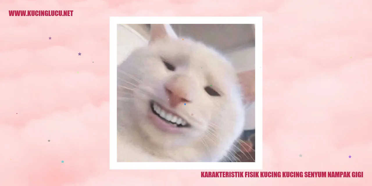 Kucing Senyum