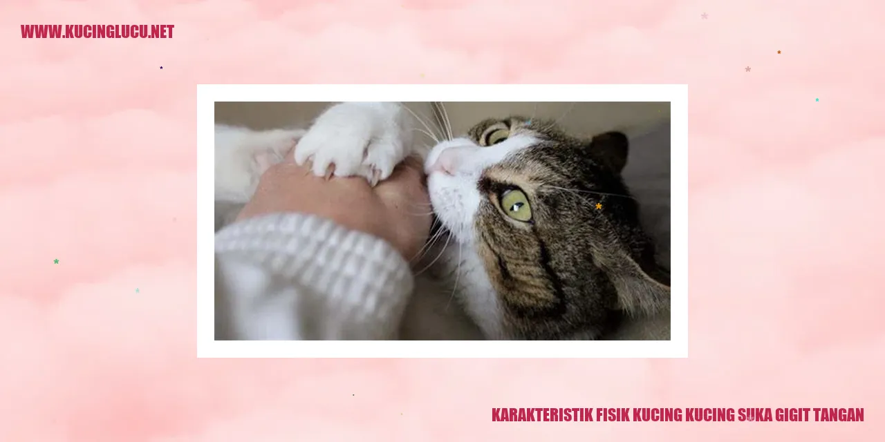 Kucing Suka Gigit Tangan