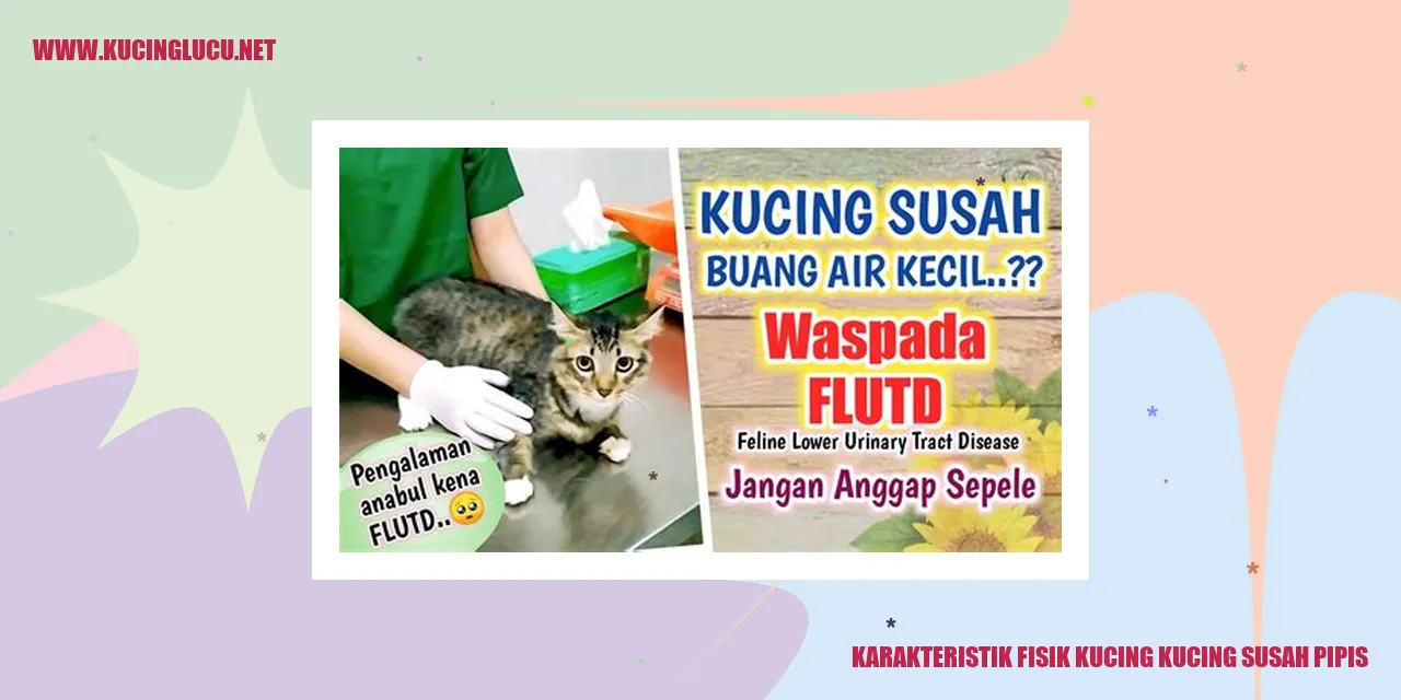 Karakteristik Fisik Kucing yang Susah Pipis