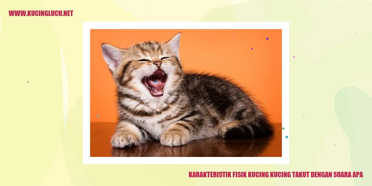 Karakteristik Fisik Kucing