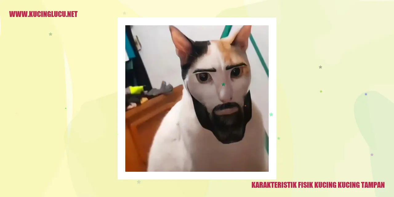 Karakteristik Fisik Kucing Kucing Tampan