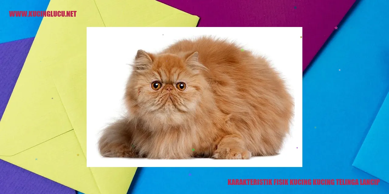 Kucing dengan telinga lancip