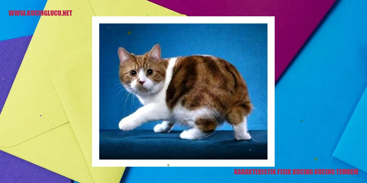 Karakteristik Fisik Kucing Kucing Gemuk