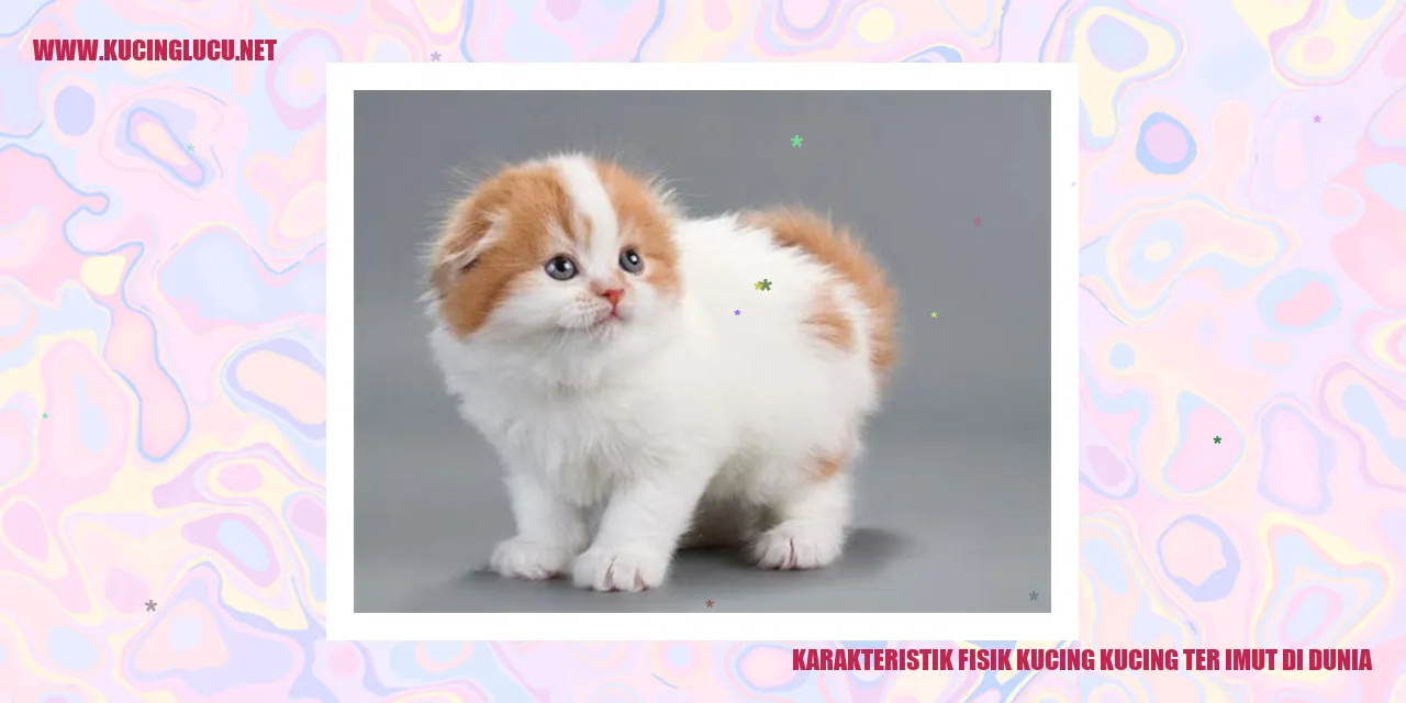 Karakteristik Fisik Kucing Terimut di Dunia