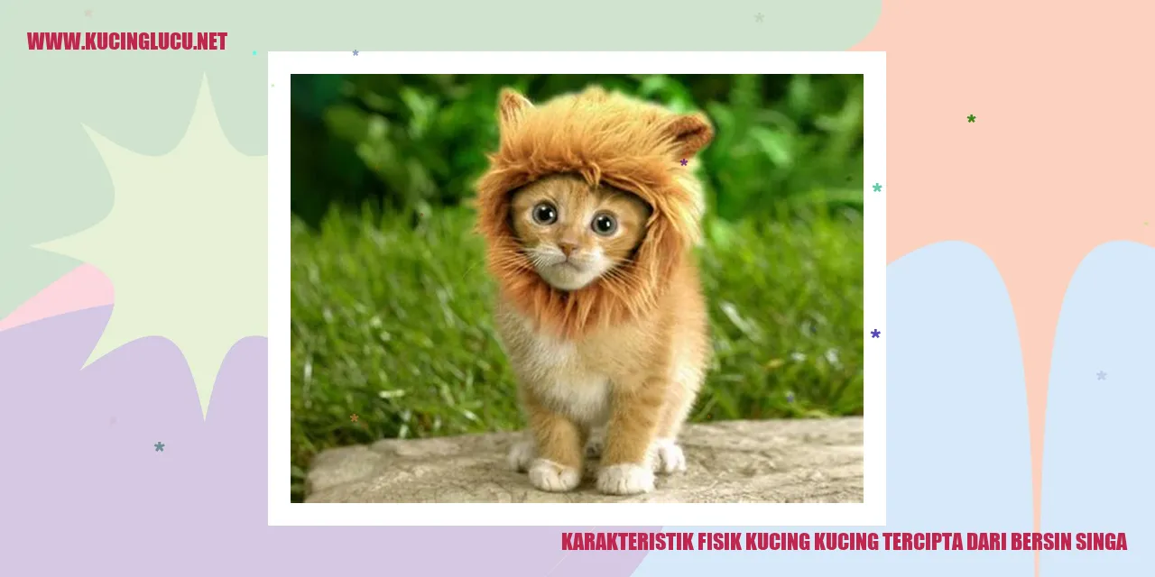 Gambar Kucing