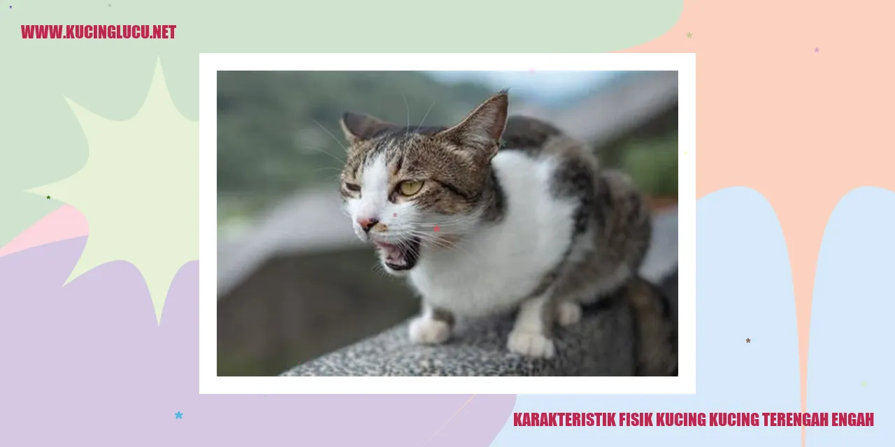 Karakteristik Fisik Kucing Kucing Terengah Engah