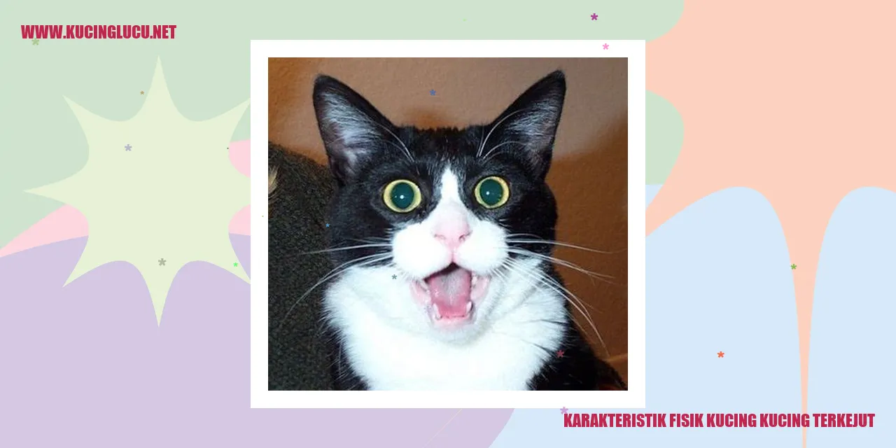Karakteristik Fisik Kucing yang Terkejut