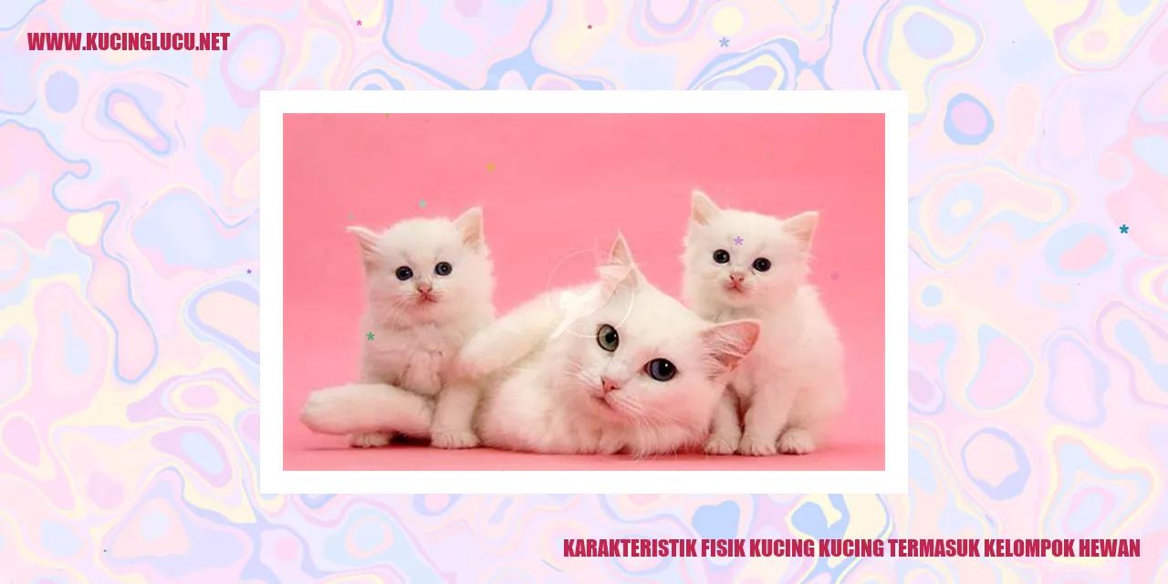 Karakteristik Fisik Kucing