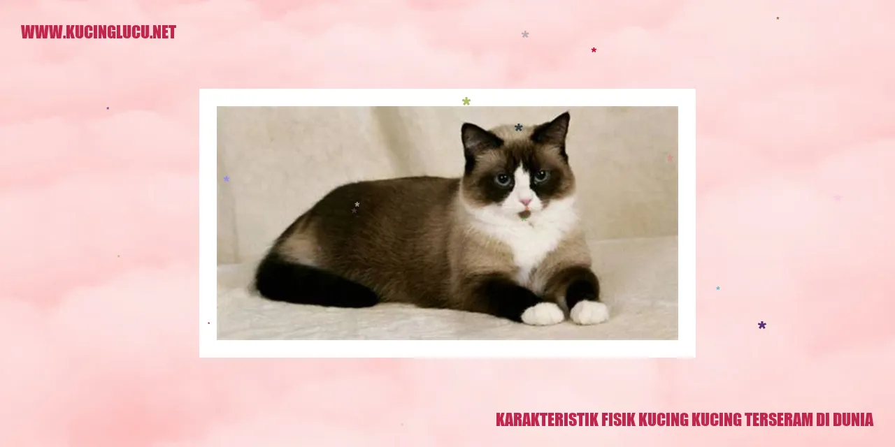Kucing Menyeramkan di Dunia