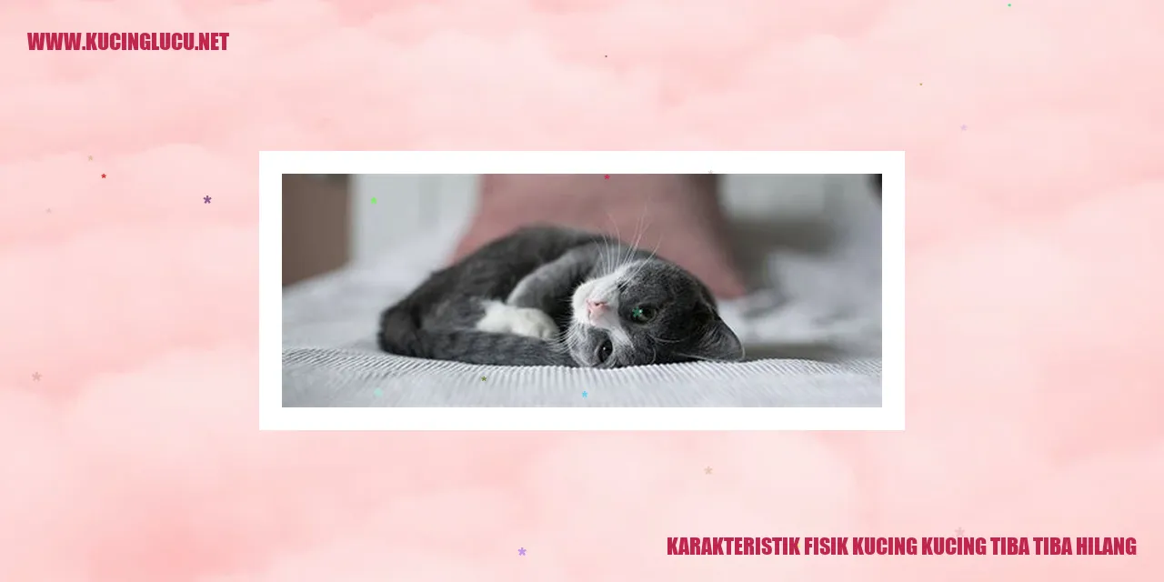 Karakteristik Fisik Kucing