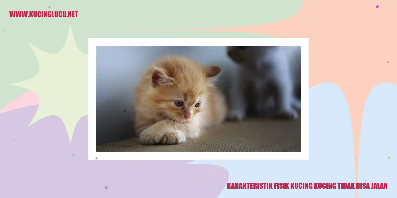 Karakteristik Fisik Kucing