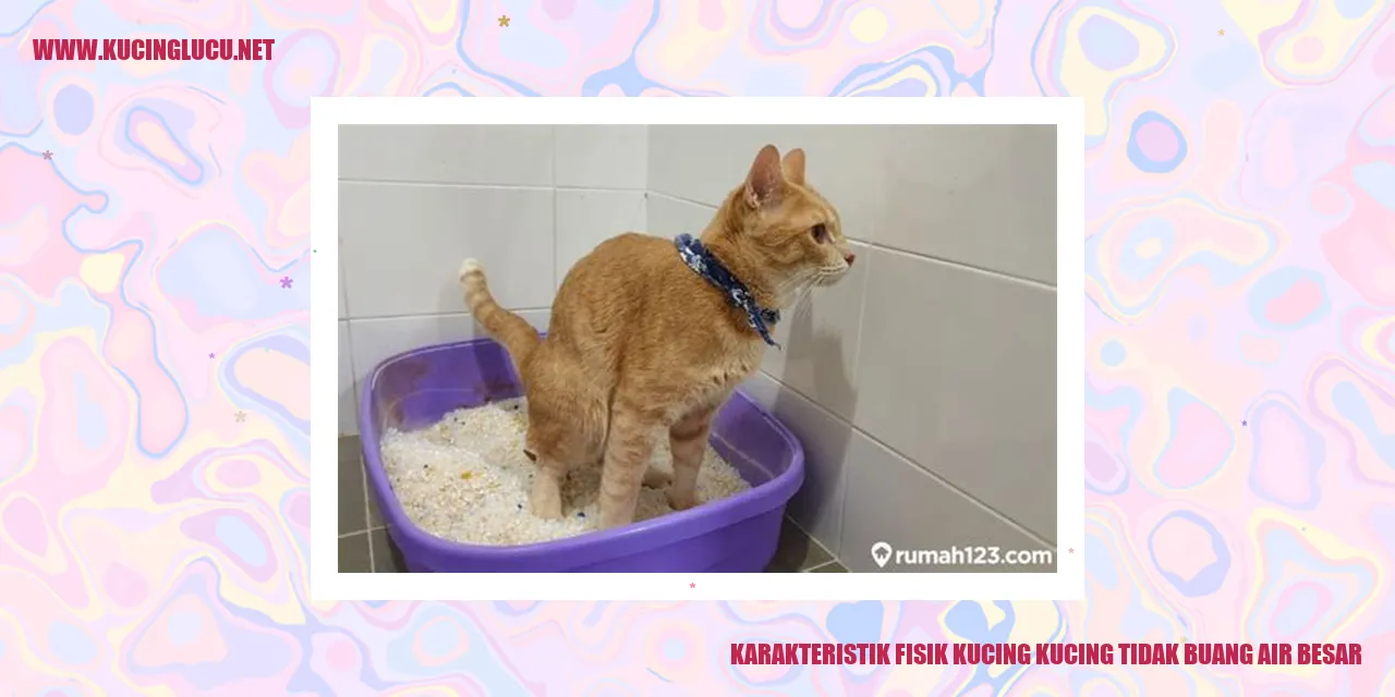 Karakteristik Fisik Kucing