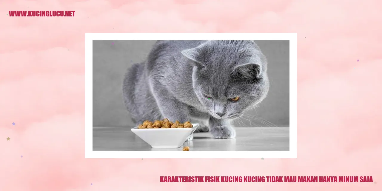 Karakteristik Fisik Kucing