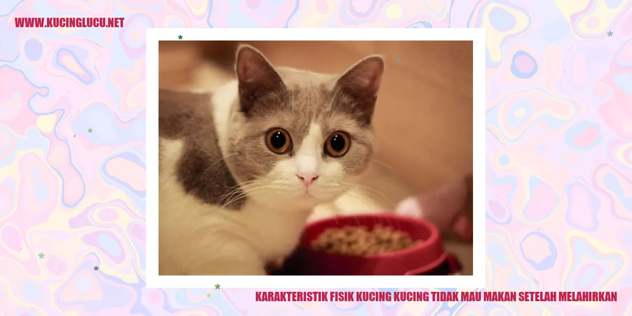Karakteristik Fisik Kucing