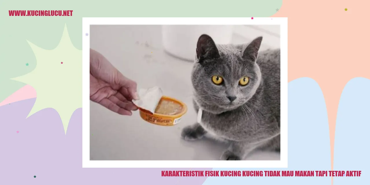 Kucing sedang bermain