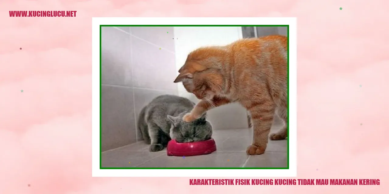 Karakteristik Fisik Kucing