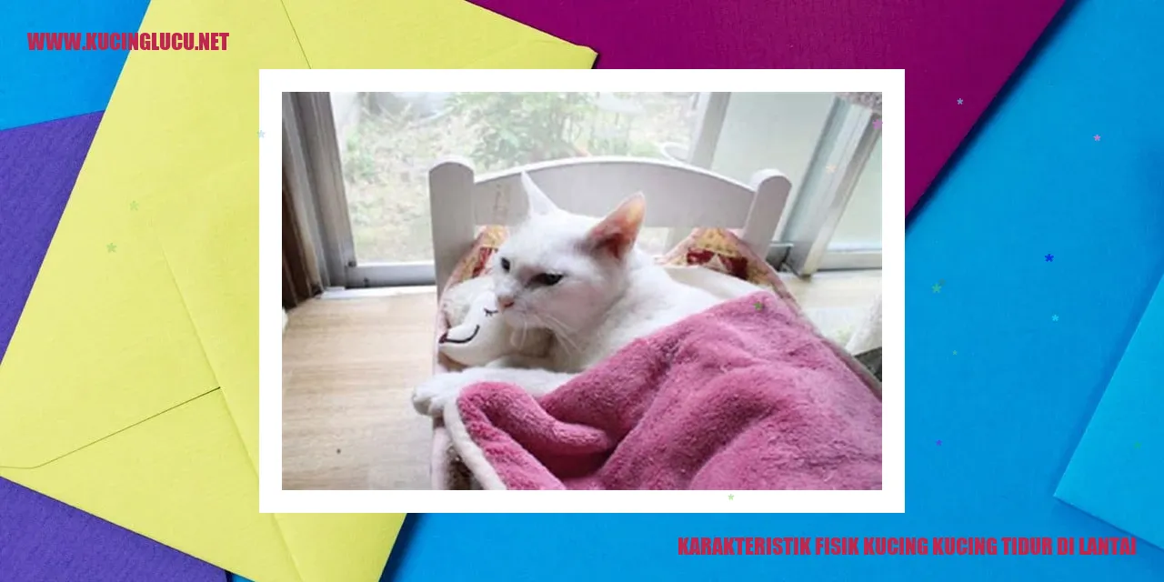 Gambar Kucing Tidur di Lantai