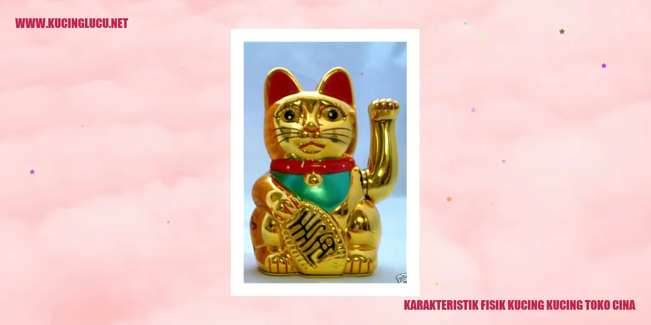 Karakteristik Fisik Kucing Toko Cina