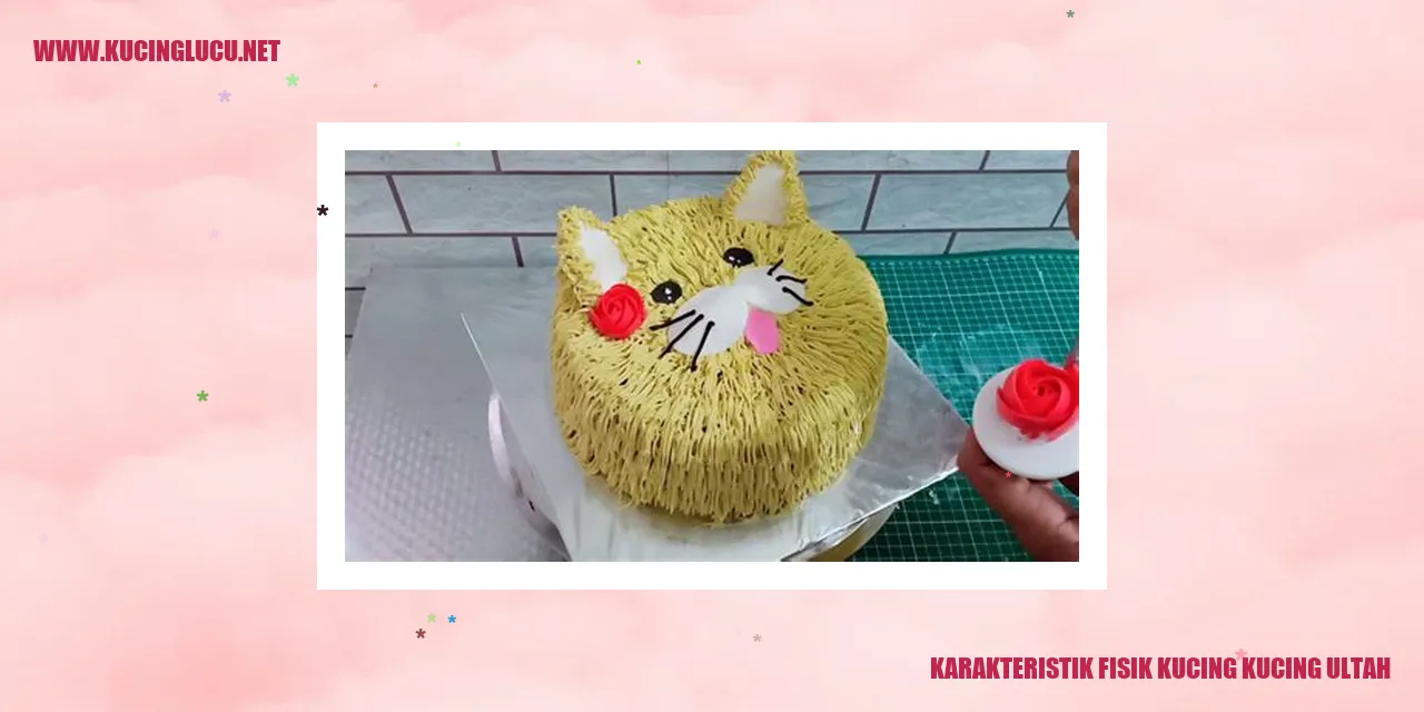 Karakteristik Fisik Kucing Kucing Ultah
