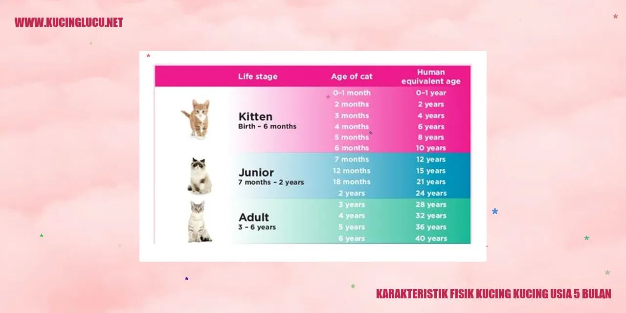 Karakteristik Fisik Kucing