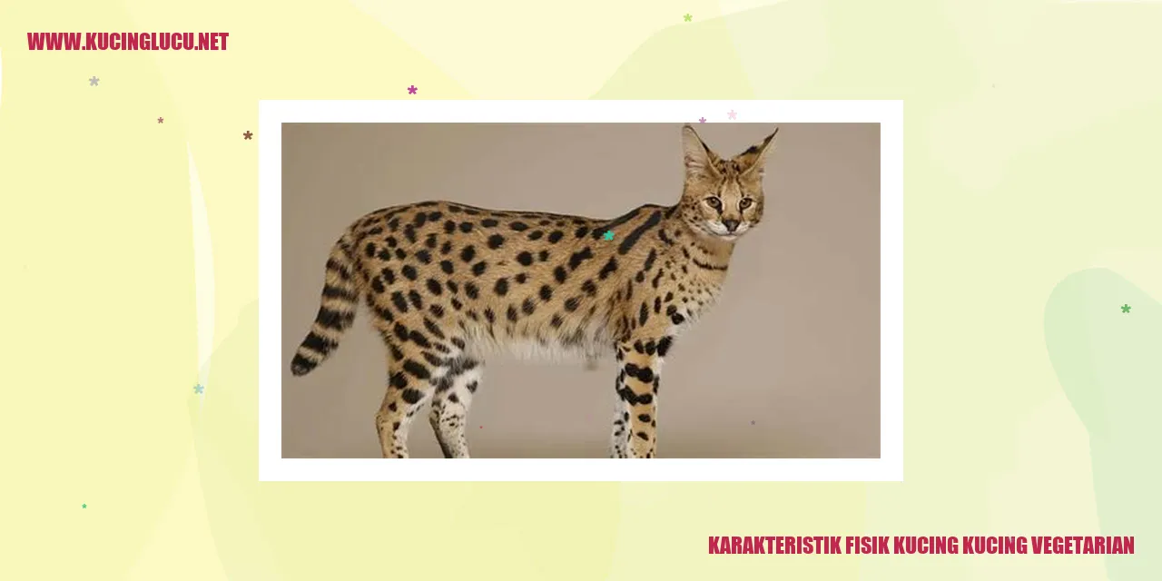 Karakteristik Fisik Kucing kucing vegetarian