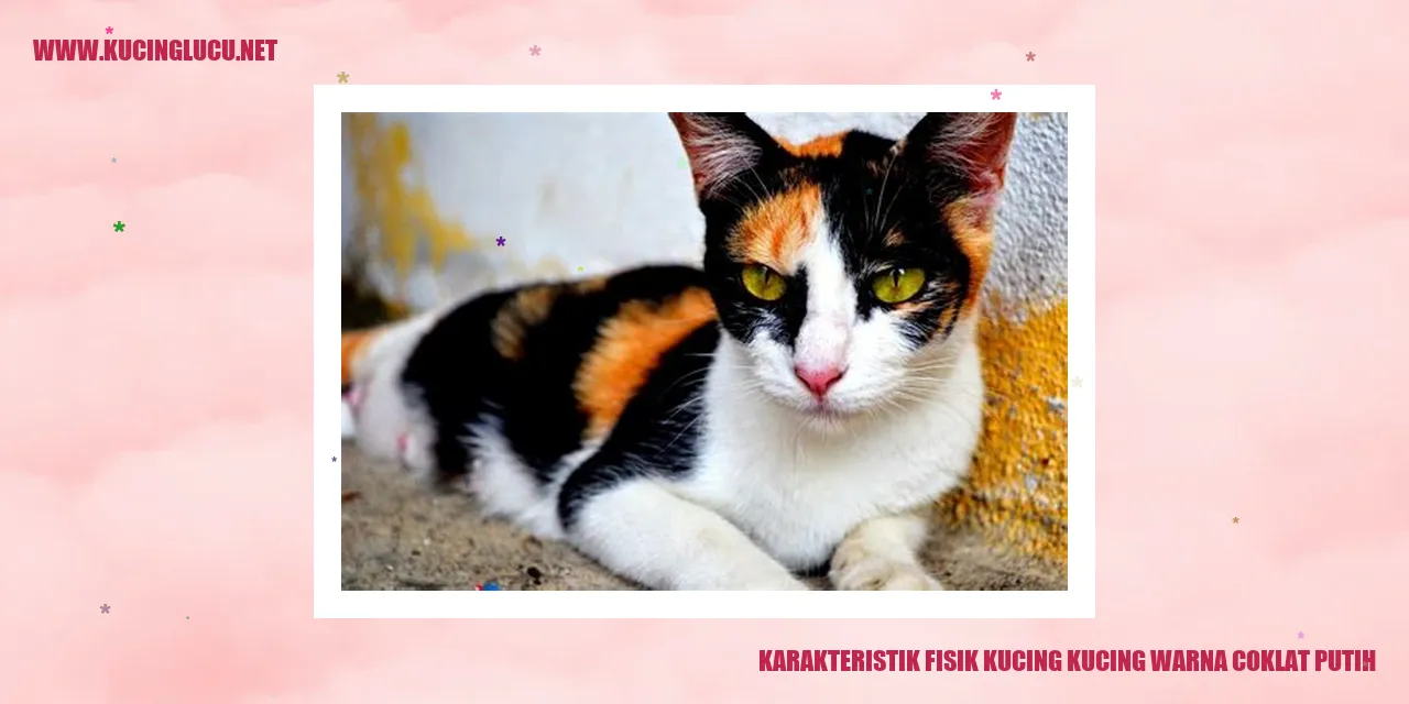 Karakteristik Fisik Kucing