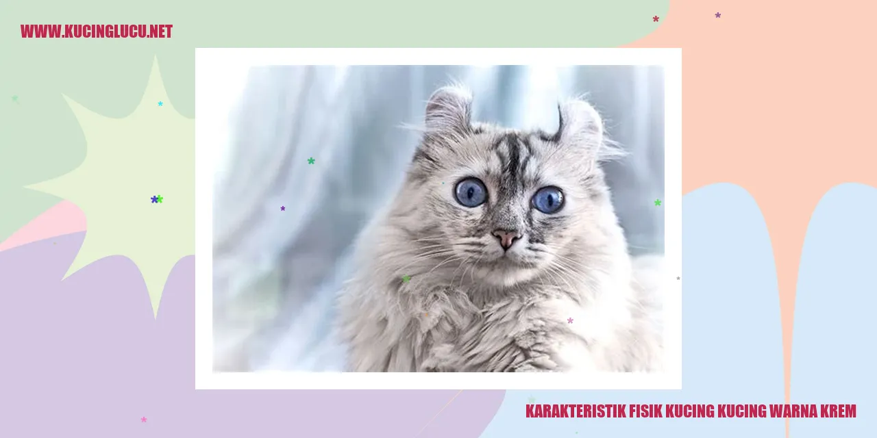 Kucing warna krem