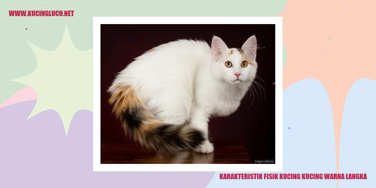 Gambar Kucing Warna Langka